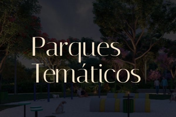 Captura de pantalla 2025-06-10 162747